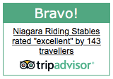 Trip Advisor Bravo Award